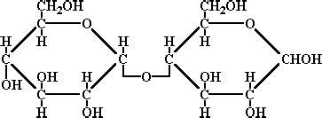 Chemische Struktur Von Maltose Bild