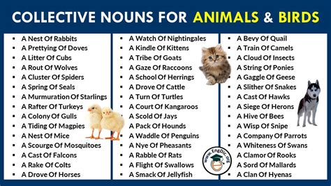 80 List Of Collective Nouns For Animals And Birds Engdic