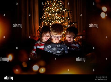 L Enfant Est Assis Dans Un Arbre Banque De Photographies Et Dimages