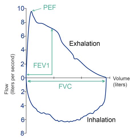 Understanding your spirometry test results