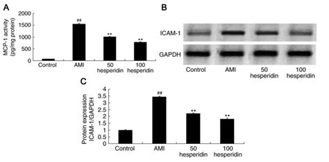 Preventive Effect Of Hesperidin Modulates Inflammatory Responses And