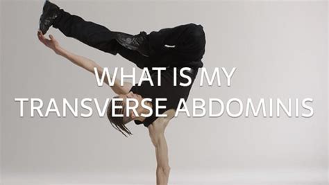 What is my transverse abdominis? - Pilates Specialist