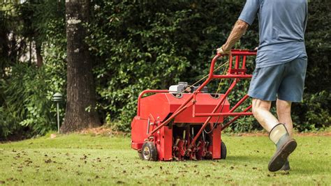 Why You Should Aerate Your Lawn Before Fertilizing