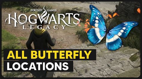 All 15 Butterfly Locations Hogwarts Legacy YouTube