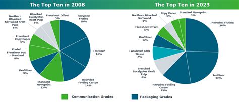 Navigating The Future Of The Pulp Paper And Packaging Industry