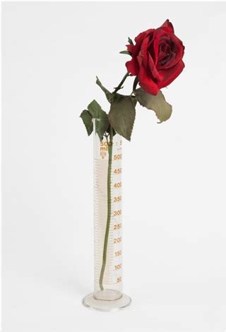 Rose F R Direkte Demokratie By Joseph Beuys On Artnet