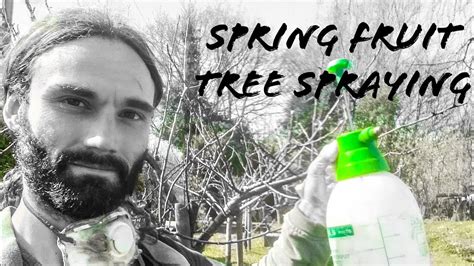 Spring Fruit Tree Spraying Youtube