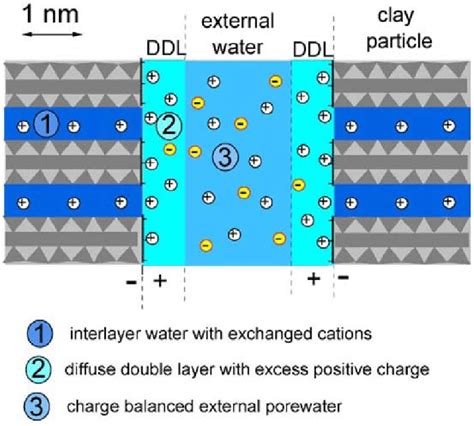 Diffuse Double Layers And Water Types In Bentonite Wersin Et Al