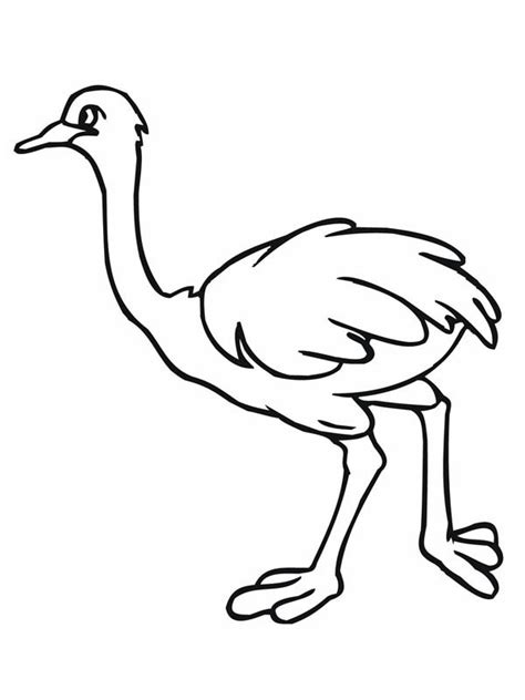 Ostrich Clipart Black And White | Free download on ClipArtMag