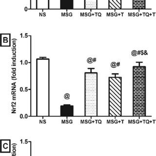 Graphical Abstract The Modulatory Effect Of TQ Or And T On The