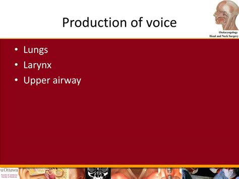 Ppt Physiology Of Voice And Hoarseness Powerpoint Presentation Free