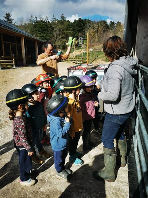 En Direct Des Classes De Maternelle Ecole Primaire Publique Les Copains