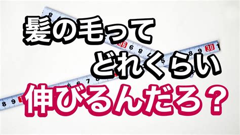 解説髪の毛が1ヶ月何センチ伸びるか1年間でどのくらい伸びるのかって話を6分してます YouTube