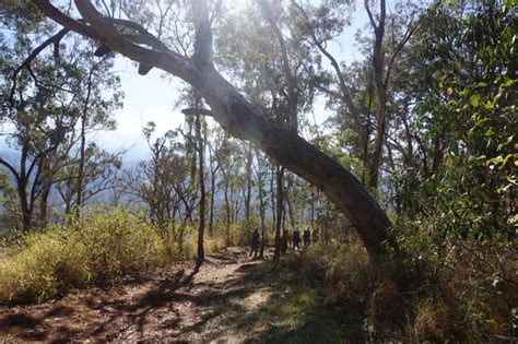 Toowoomba Escarpment Picnic Point And Tabletop Circuit