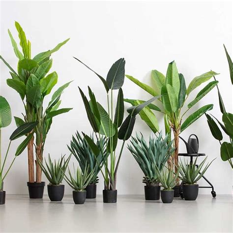 Planta Artificial Strelitzia Plantas Artificiales Plantas Maceta