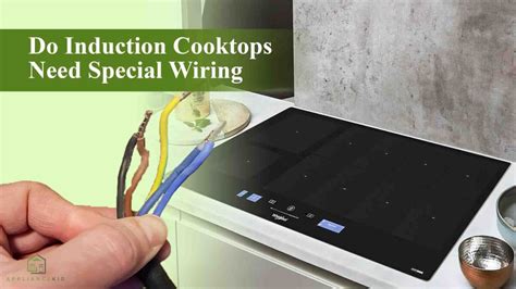 Are Induction Cooktops 110 Or 220? [Actual Information]