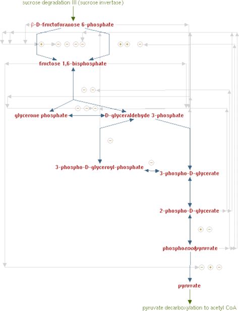 Metacyc Pathway Glycolysis Iv Plant Cytosol 2 Download High Resolution Scientific Diagram