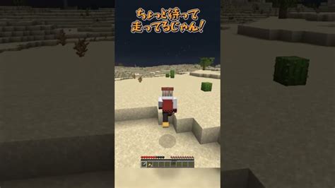 レベル999になったゾンビ【マイクラ】 Shorts Minecraft Summary マイクラ動画