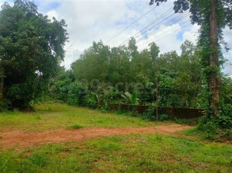 Agriculture Land For Sale In Karnataka Farm Land For Sale In Karnataka