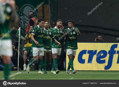 Sao Paulo Brasileiro Palmeiras June Allianz Parque Sao