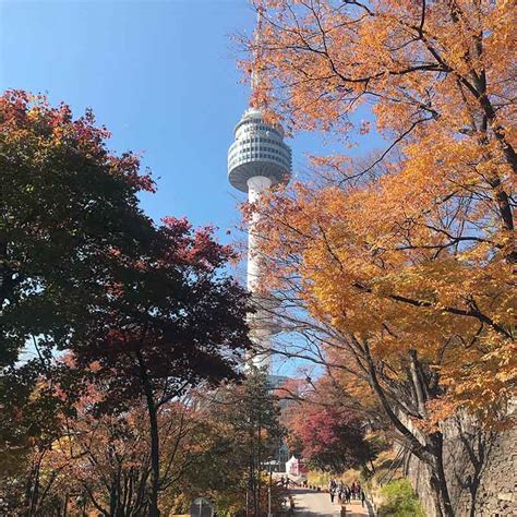 All You Need to Know Before You Visit the N Seoul Tower (Namsan Tower ...