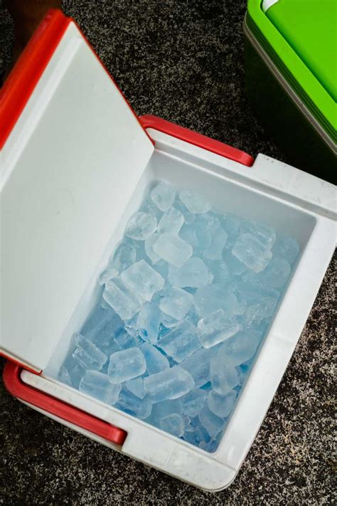 Easy Homemade Ice Chest Cooler Plans