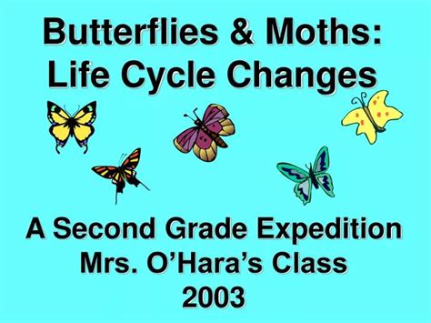 PPT - Butterflies & Moths: Life Cycle Changes PowerPoint Presentation ...