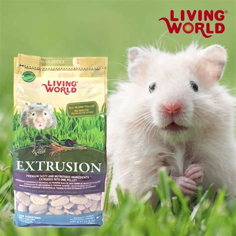 Alimento Living World Extrusion Para Hamster Fauna Salud