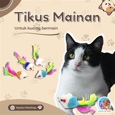 jual haciko petshop mainan kucing  anjing hewan peliharaan tikus