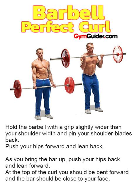 Total Body Workout Plan Using Only A Barbell - 15 The Best Barbell ...