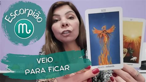 Escorpi O Veio Para Ficar Aberturas E Novidades Chegando Tar