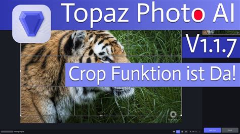 Topaz Photo AI V1 1 7 I Crop Funktion Ist Da I Public Beta I Gitter