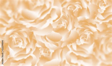 Beige Flower Background