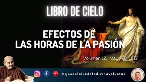 Efectos De Las Horas De La Pasion Vol Mayo Divina