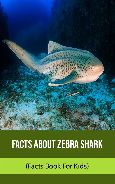 Facts About Zebra Shark (Facts Book For Kids) by Lina Raol | Goodreads