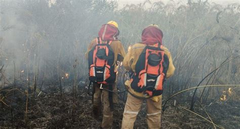 Calvimontes Asegura Que La Mayoría De Los Incendios En Bolivia Están