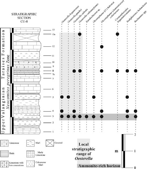 Lithology And Biostratigraphy Of The Upper Valanginian Stratigraphic