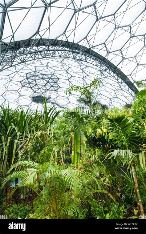 Rainforest Biome Eden Project Cornwall England Uk Stock Photo Alamy