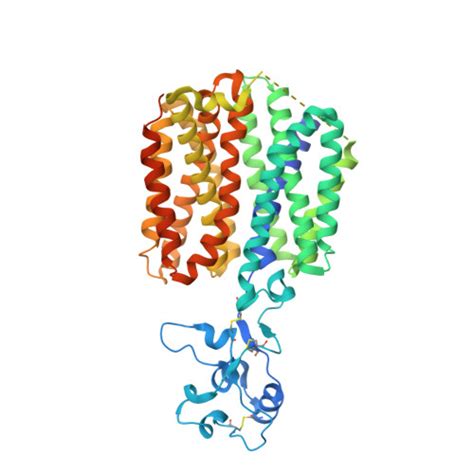 RCSB PDB - 8SC1: Human OCT1 (Apo) in inward-open conformation