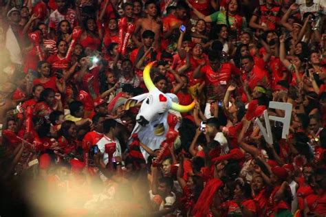 Festival de Parintins entenda como é definido o título entre bois