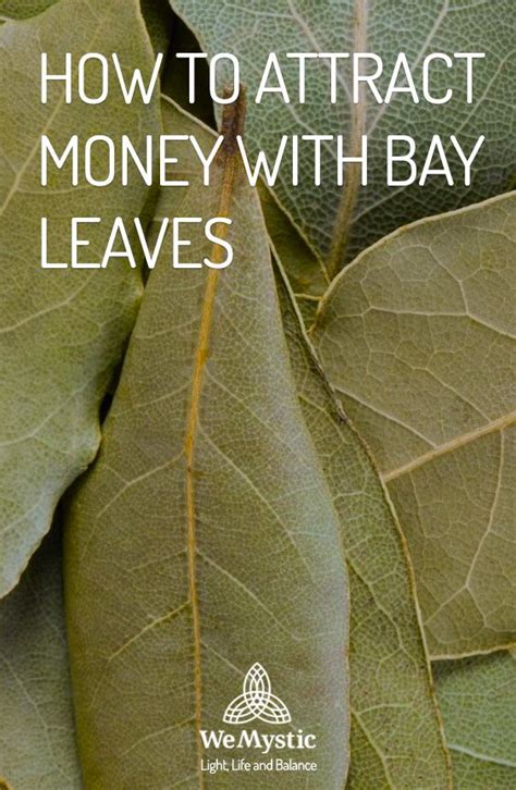 How To Attract Money With Bay Leaves Wemystic Money Spells That