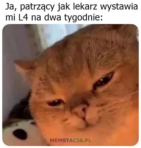 Dlaczego Memstacja Pl