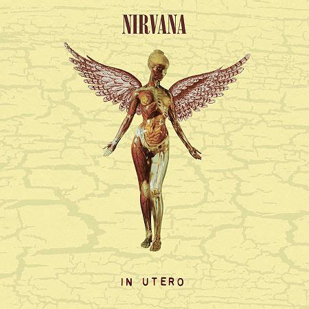 Nirvana-In Utero Lp Vinyl Records 602455178589, Color: Multi - JCPenney ...