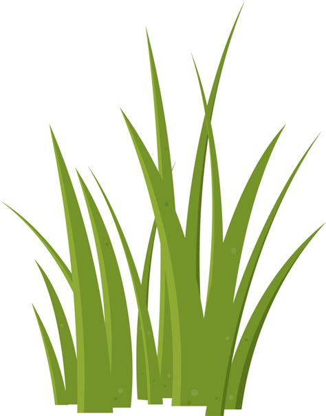 Cartoon grass leaves clip art 21612232 PNG