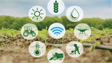 Tecnolog A Aplicada A La Agricultura