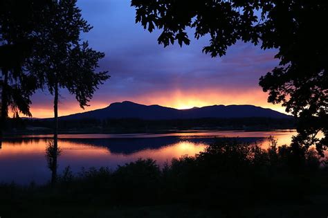 Royalty-Free photo: Silhouette photography of trees near body of water ...