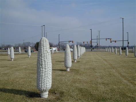 Corn Field Art Corn Field - bandarxo