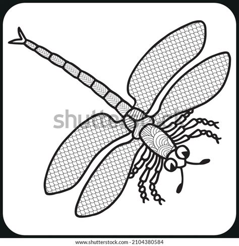 Dragonfly Coloring Book Adults Stock Vector Royalty Free 2104380584