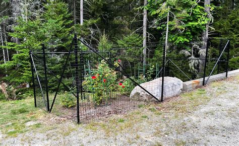 how do i keep deer out of the garden 8