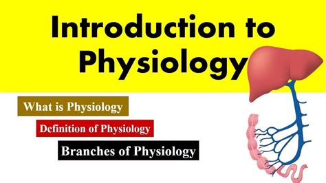 Definition Of Physiology And Anatomy Anatomy